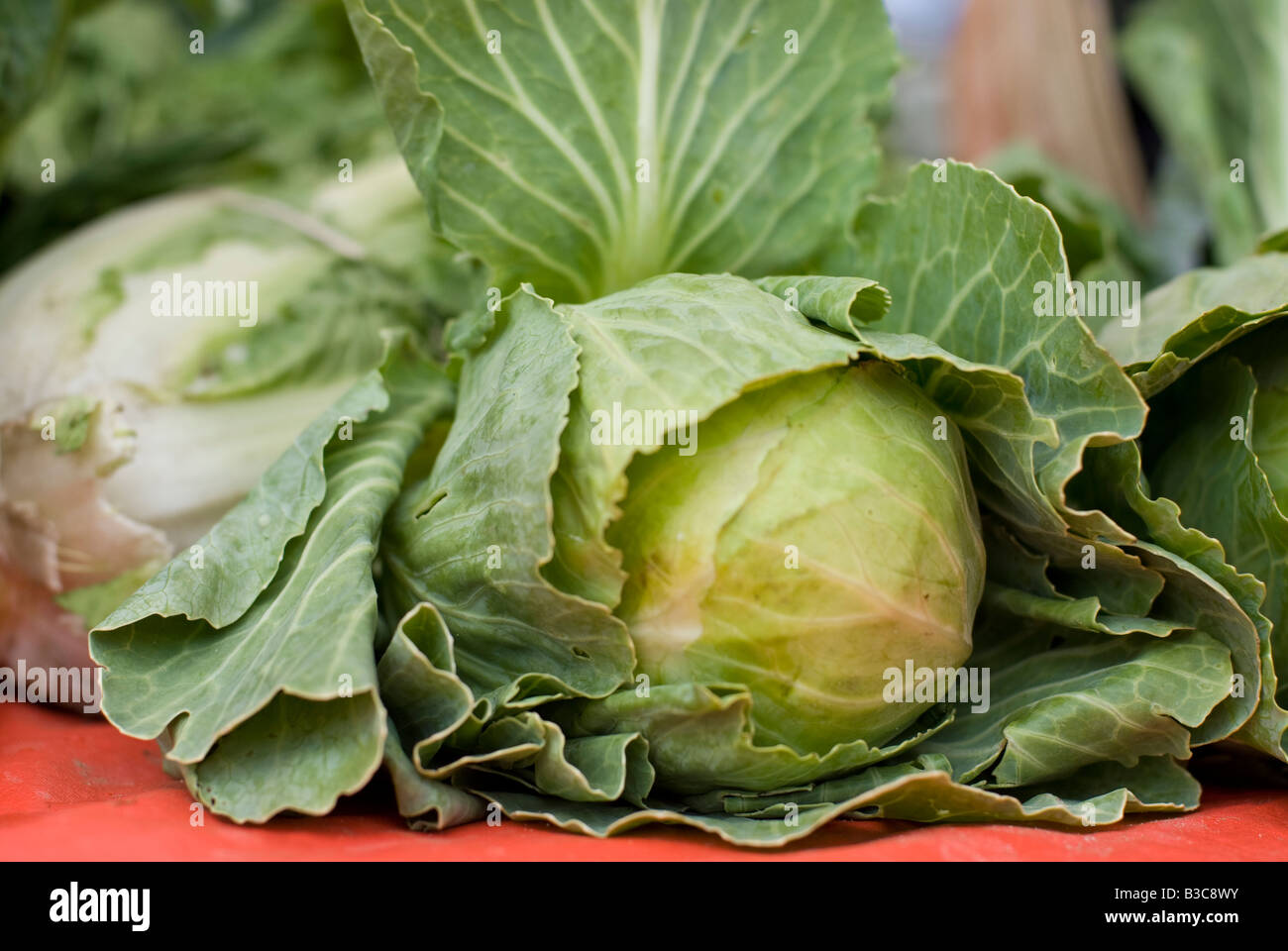 Chou vert feuillu à la vente à un marché de producteurs Banque D'Images