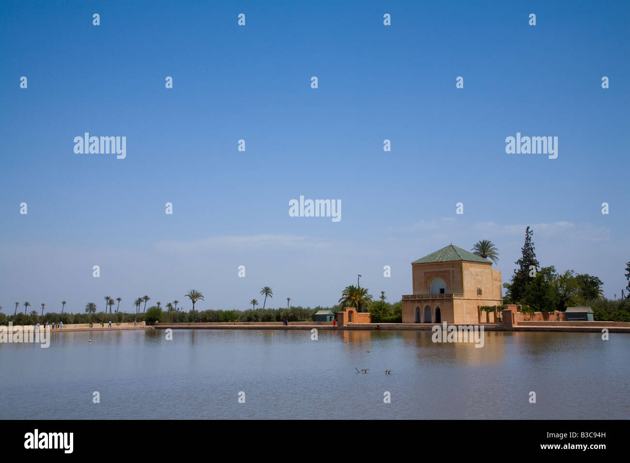 Jardins de la menara maroc Banque de photographies et d’images à haute ...