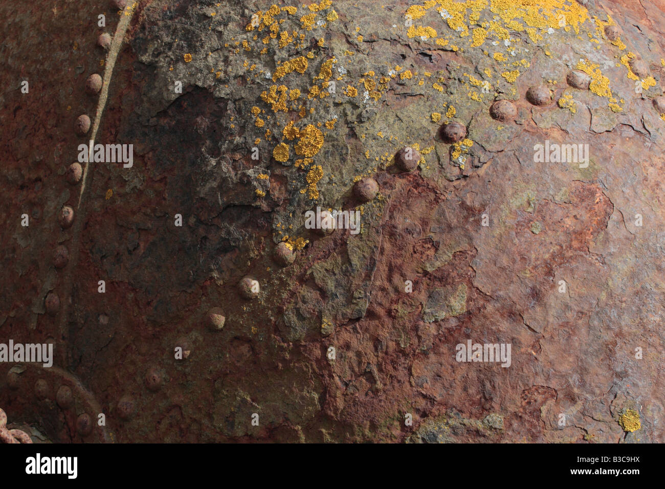 Détail de rouille et de lichens incrustés, 19c Fer à Repasser Bouée d'amarrage. Banque D'Images