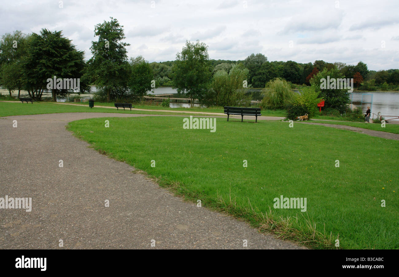 Costhorpe Worksop Bretagne Angleterre GO UK 2008 Banque D'Images