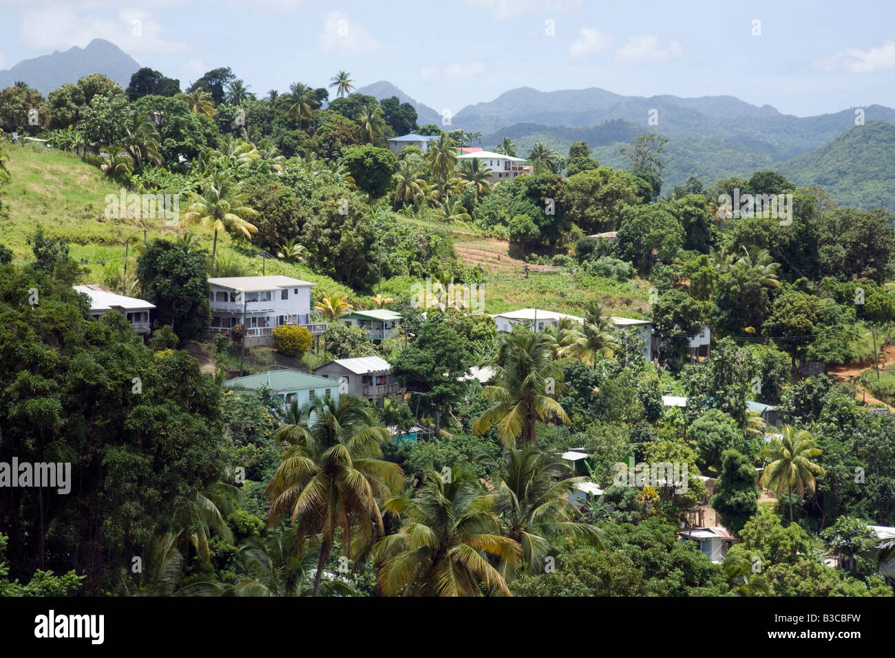 Logement sur les bords de la rainforest, St Lucia, "West Indies" Banque D'Images