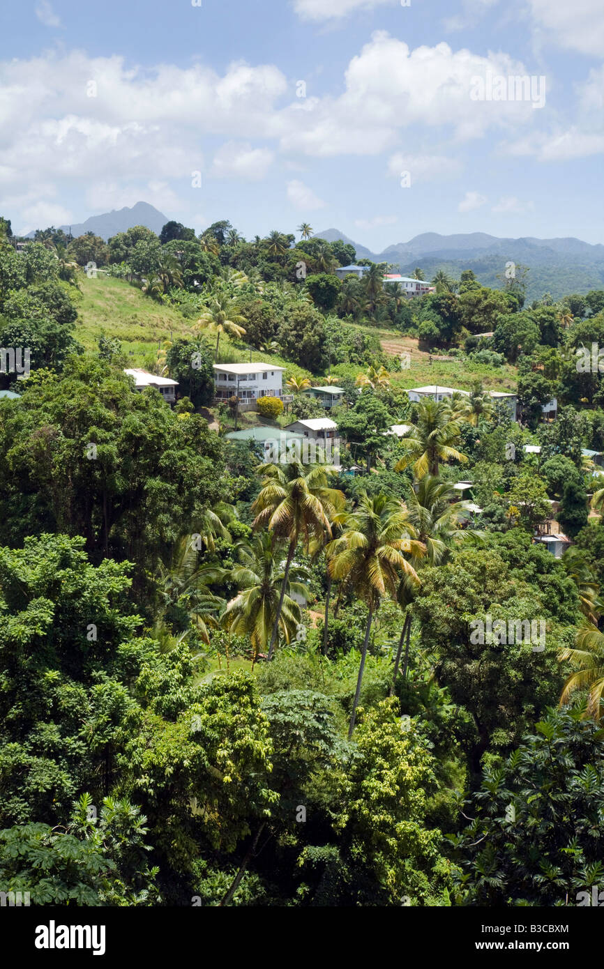 Logement sur les bords de la rainforest, St Lucia, "West Indies" Banque D'Images