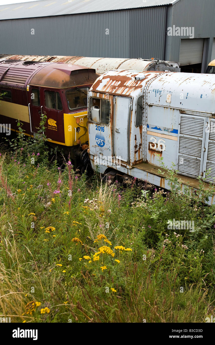 Chesterfield Derbyshire UK Barrow Hill Railway Centre Roundhouse locomotives diesel non restaurés dans une cour Banque D'Images