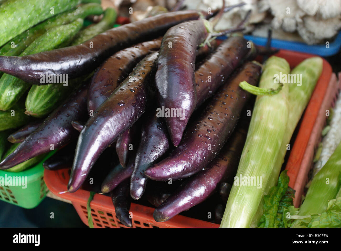 L'aubergine varieities à vendre dans un marché chinois Banque D'Images