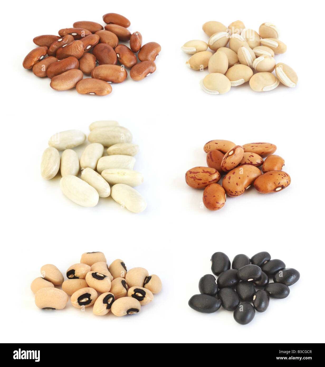 Assortiment de différents types de haricots : red kidney, jacinthe, blanc (cannelini), pinto, haricots noirs et Black Eyed Peas Banque D'Images