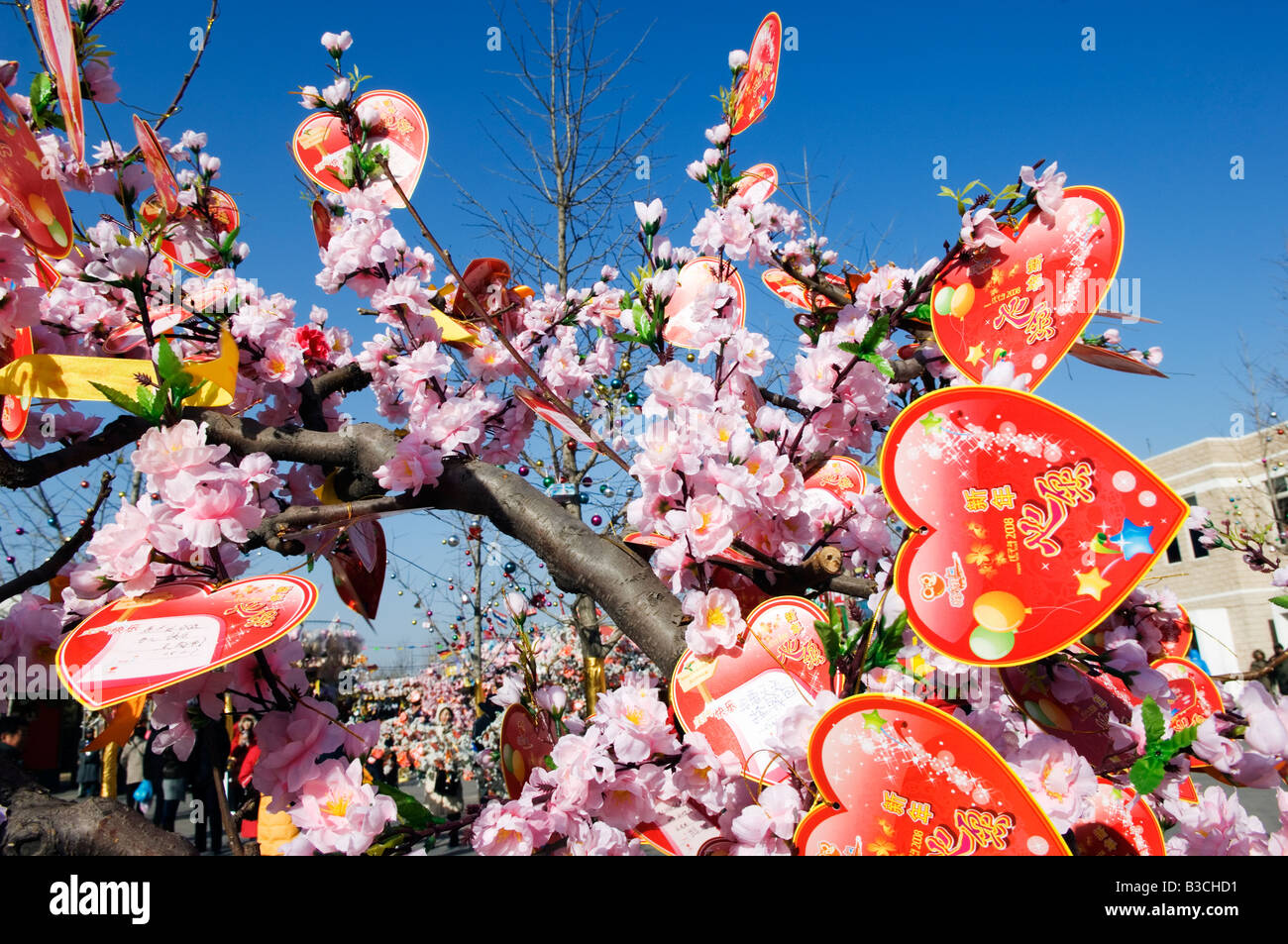 La Chine, Beijing. Nouvel An chinois Fête du Printemps Valentine messages d'amour sur un arbre au Parc de Chaoyang juste Banque D'Images