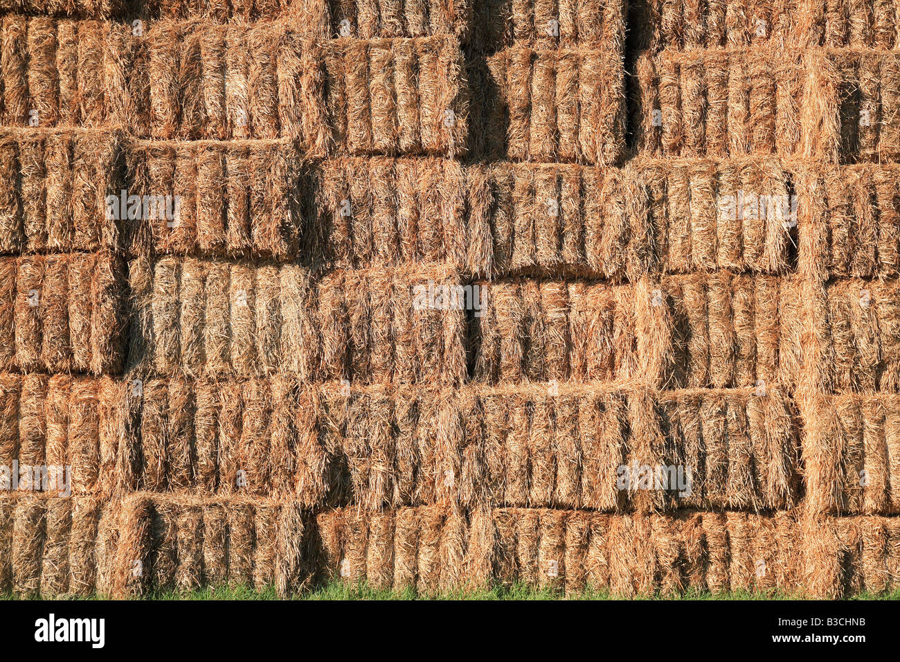 Des bottes de paille empilées sur le terrain Banque D'Images