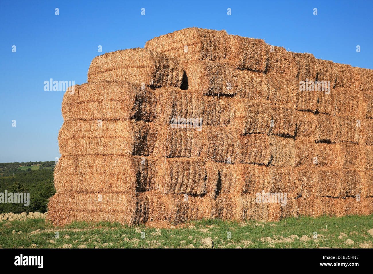 Des bottes de paille empilées sur le terrain Banque D'Images