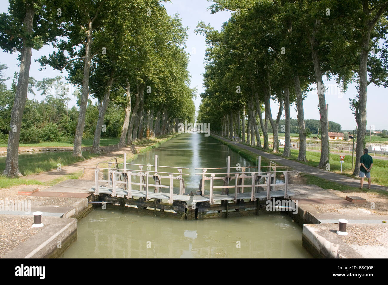 Écluses sur le Canal du Midi, avec son allée de platanes Banque D'Images