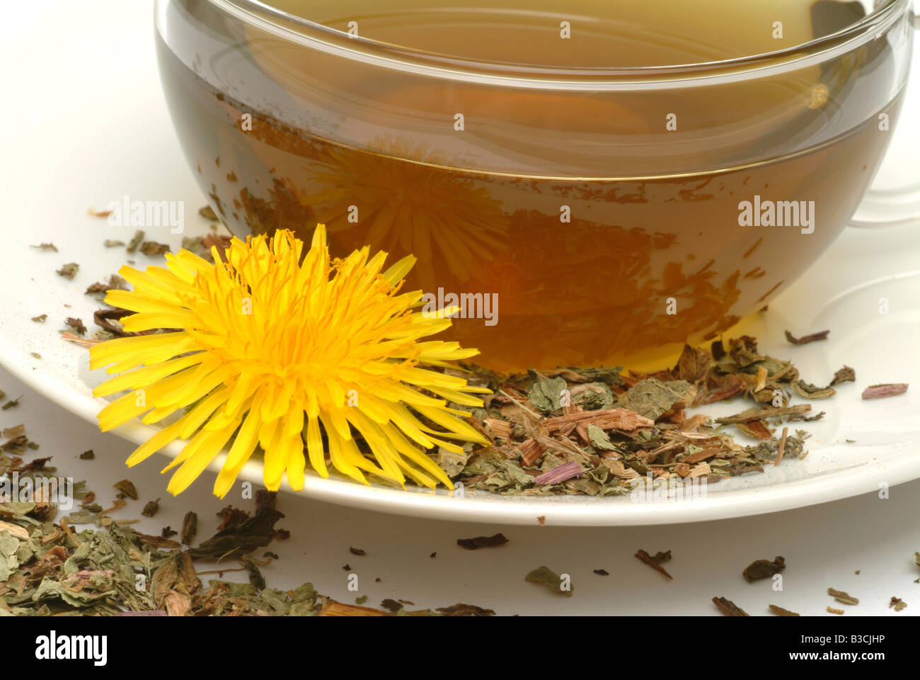 Faites thé médicinal des plantes médicinales de Taraxacum officinale pissenlit commun Plateau Pianta medicinale Soffione dente de leone te Banque D'Images