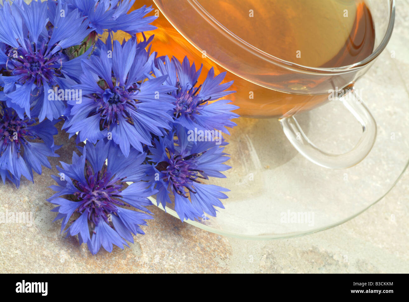 Te thé médicinal des plantes médicinales Bleuet Centaurea cyanus vero Fiordalismo Banque D'Images