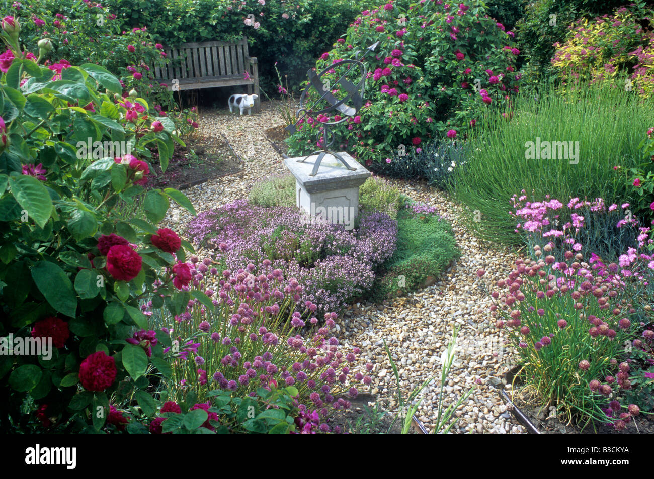 Chemin de gravier herbes Sundial thymus allium socle banc d'herbe rose roses fleurs de jardin design plantes Banque D'Images