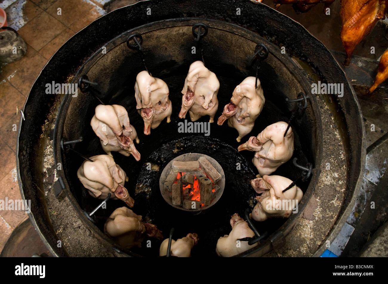 Le canard rôti grillé à la chinoise Banque D'Images