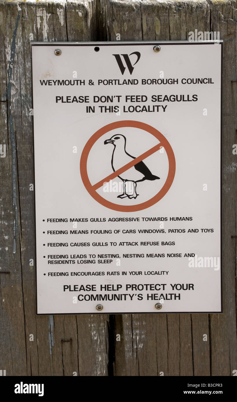 Inscrivez-vous à Weymouth Harbour avise la population de ne pas nourrir les goélands Banque D'Images