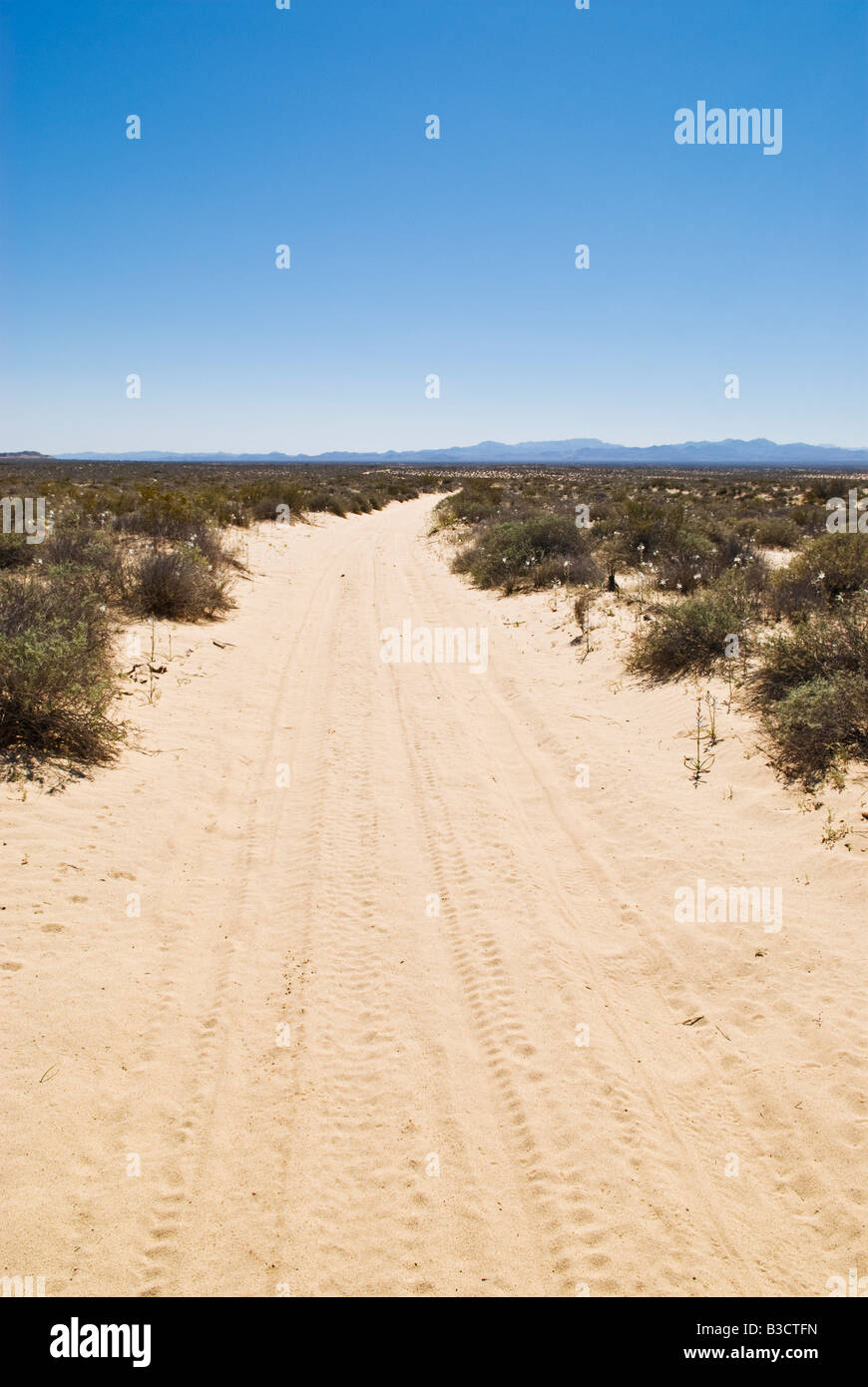 Route du désert de sable au sud de San Felipe, Baja California, Mexique Banque D'Images