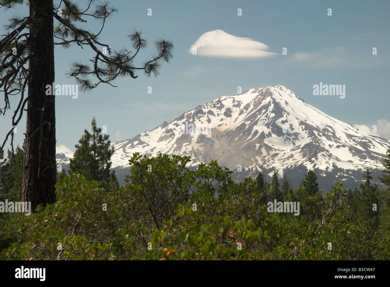 Mont Shasta avec la fonte des neiges au début de l'été Banque D'Images