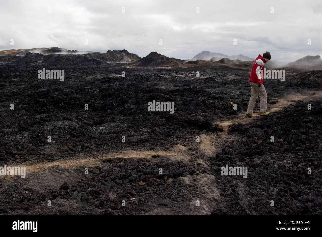 Champ de lave dans la région de Krafla, le lac Mývatn, en Islande. Banque D'Images