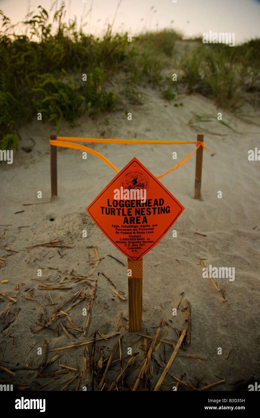 La section de plage d'une signalisation de nidification des tortues caouannes protéger dans Isle of Palms South Carolina caouannes sont en voie de disparition Banque D'Images