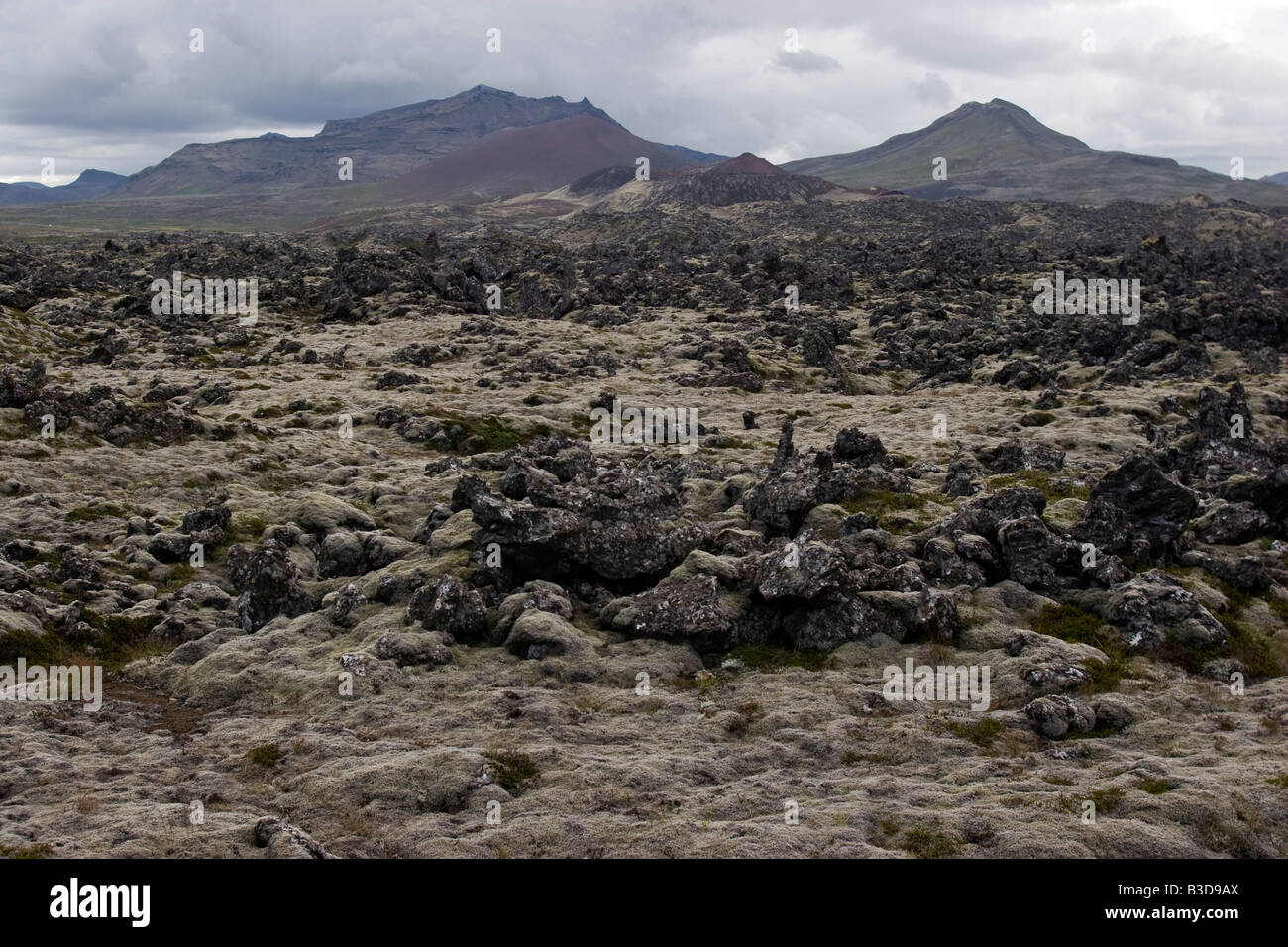 Champ de lave près de glacier Snaefellsjokull, Islande Banque D'Images