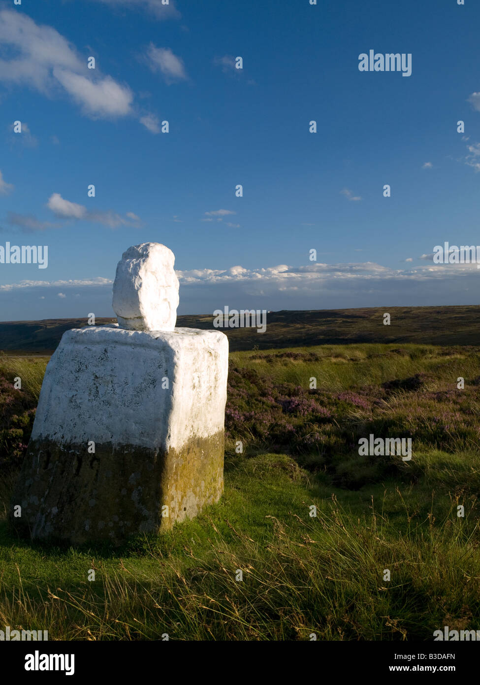 Betty Fat North York Moors National Park Banque D'Images