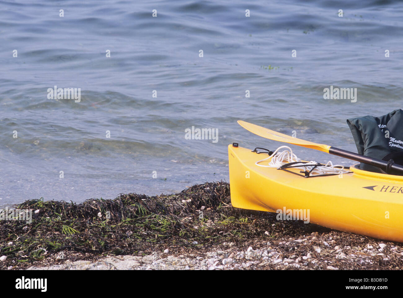 1 Un seul kayak jaune avec palettes au bord de l'océan avec aucun peuple Banque D'Images