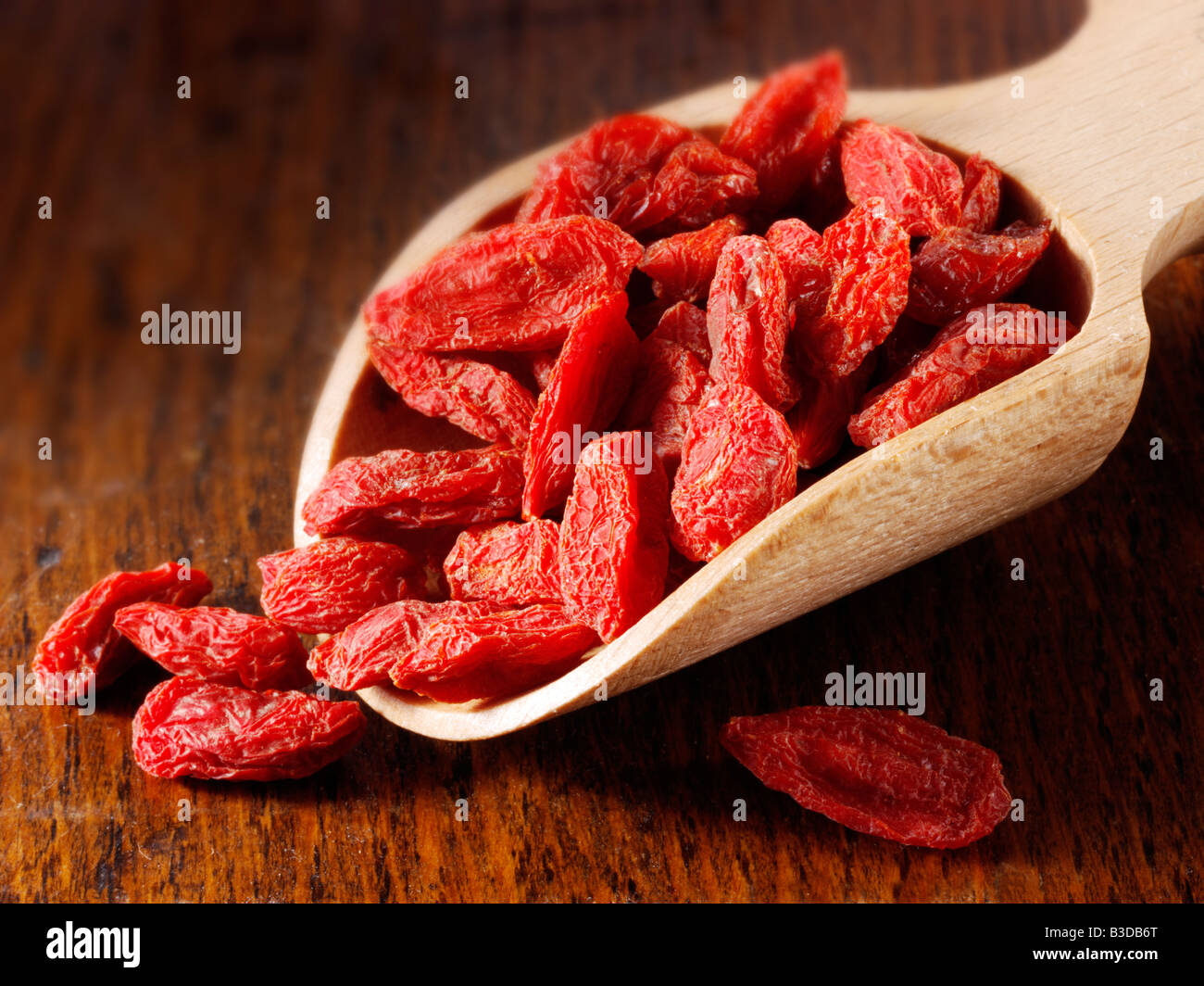 Le Goji Berry - des niveaux élevés de bêta-carotène et les 8 acides aminés essentiels Banque D'Images