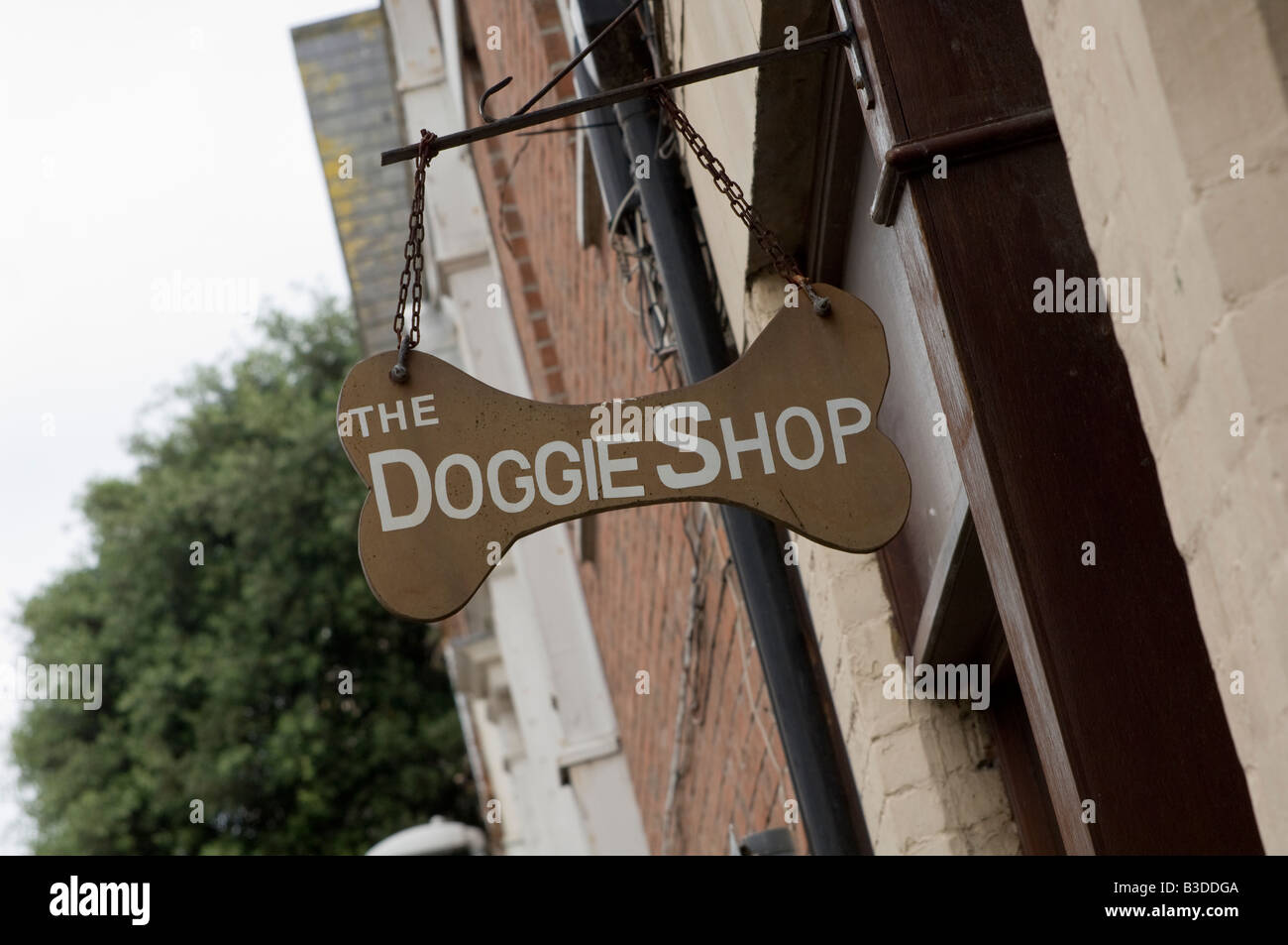 Dog shop sign dans la forme d'un os à l'extérieur d'un magasin à Weymouth, dans le Dorset Banque D'Images