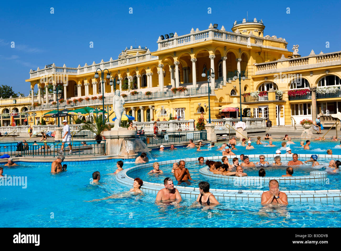 Les bains Széchenyi à Budapest Hongrie Banque D'Images