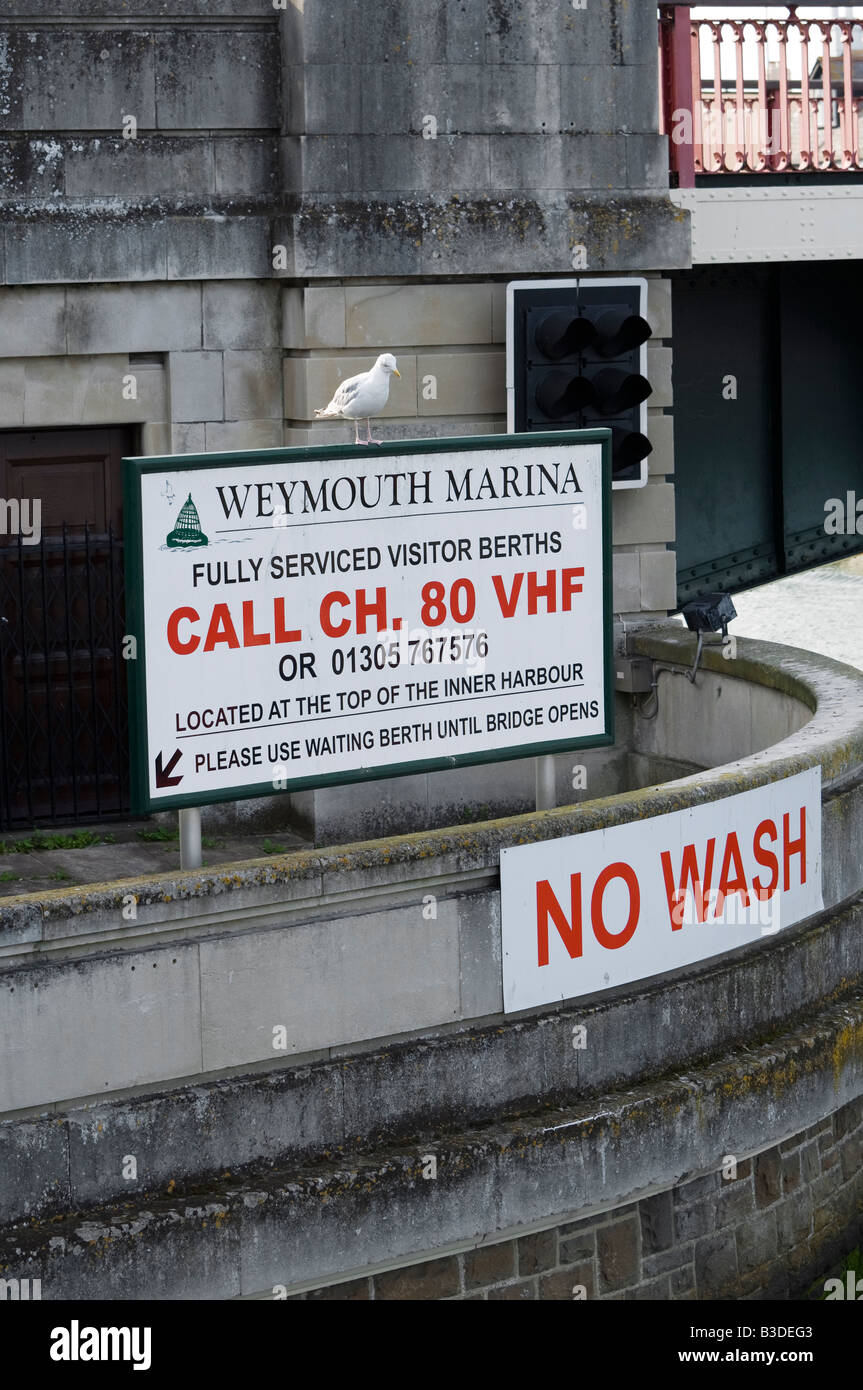 Seagull perché sur le panneau à l'entrée de la Marina de Weymouth, dans le Dorset Banque D'Images