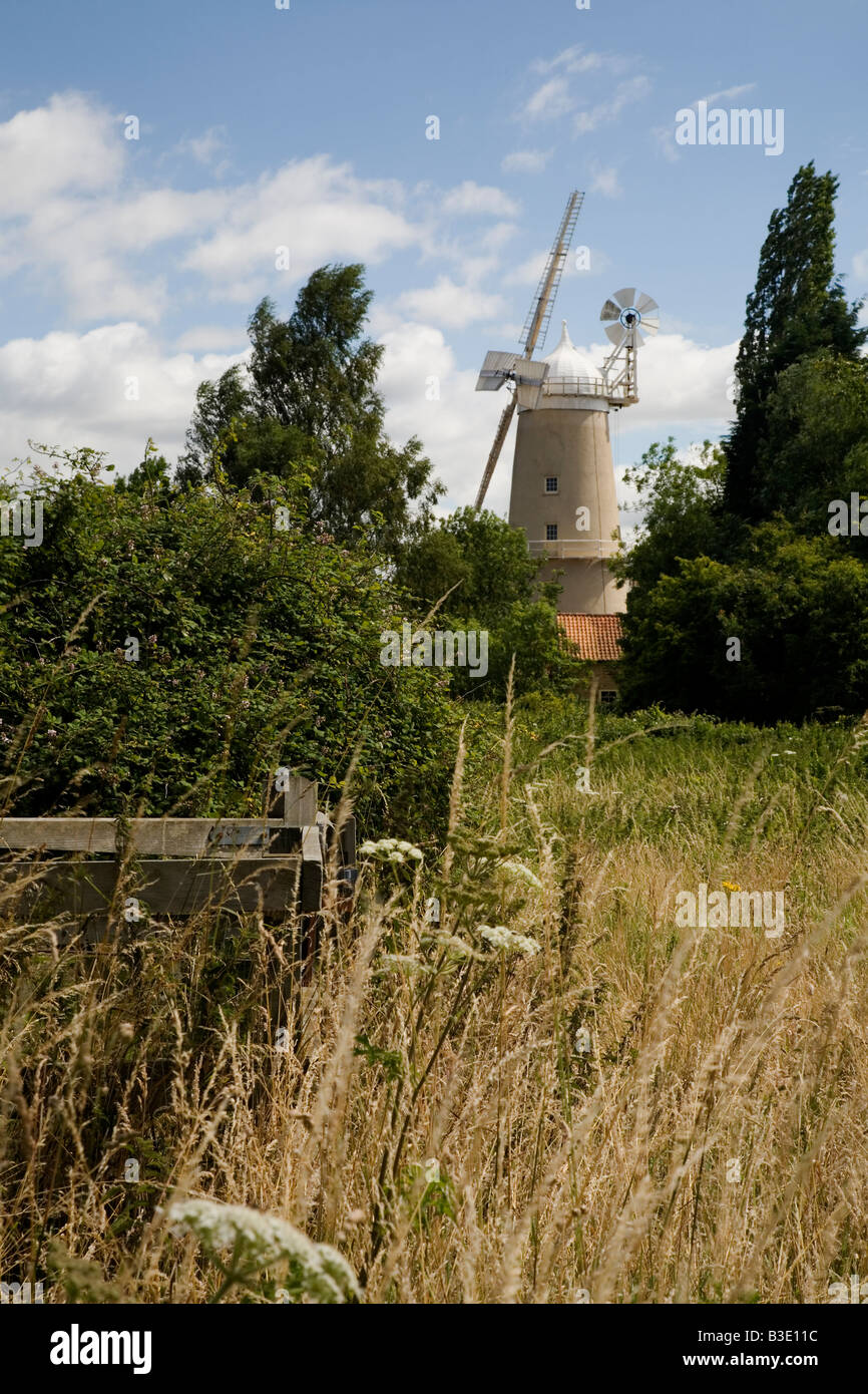 Moulin de Denver, guest house de thé et une attraction touristique près de Downham Market Norfolk Banque D'Images