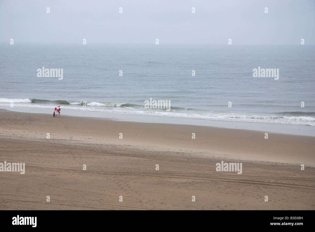 Scène de plage avec une seule personne et son chien Banque D'Images