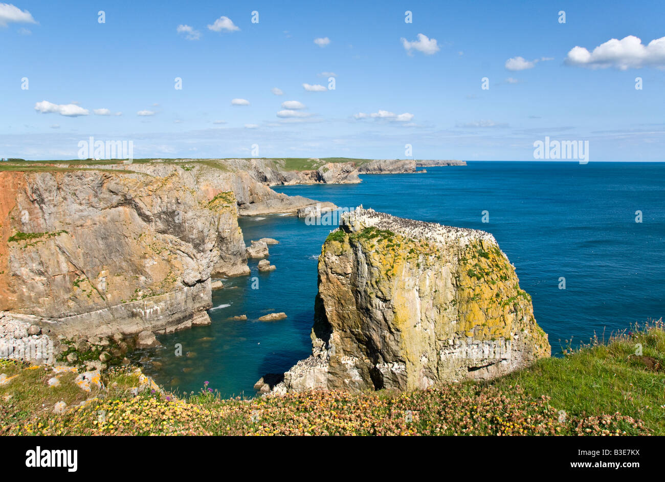 Les roches de la pile, Pembrokeshire, Pays de Galles Banque D'Images