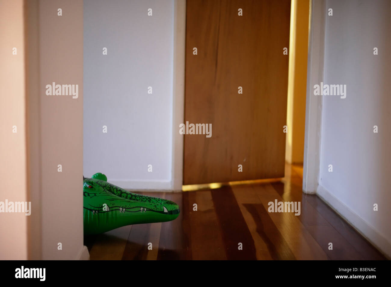 Série crocodile gonflable se cache dans le hall Banque D'Images