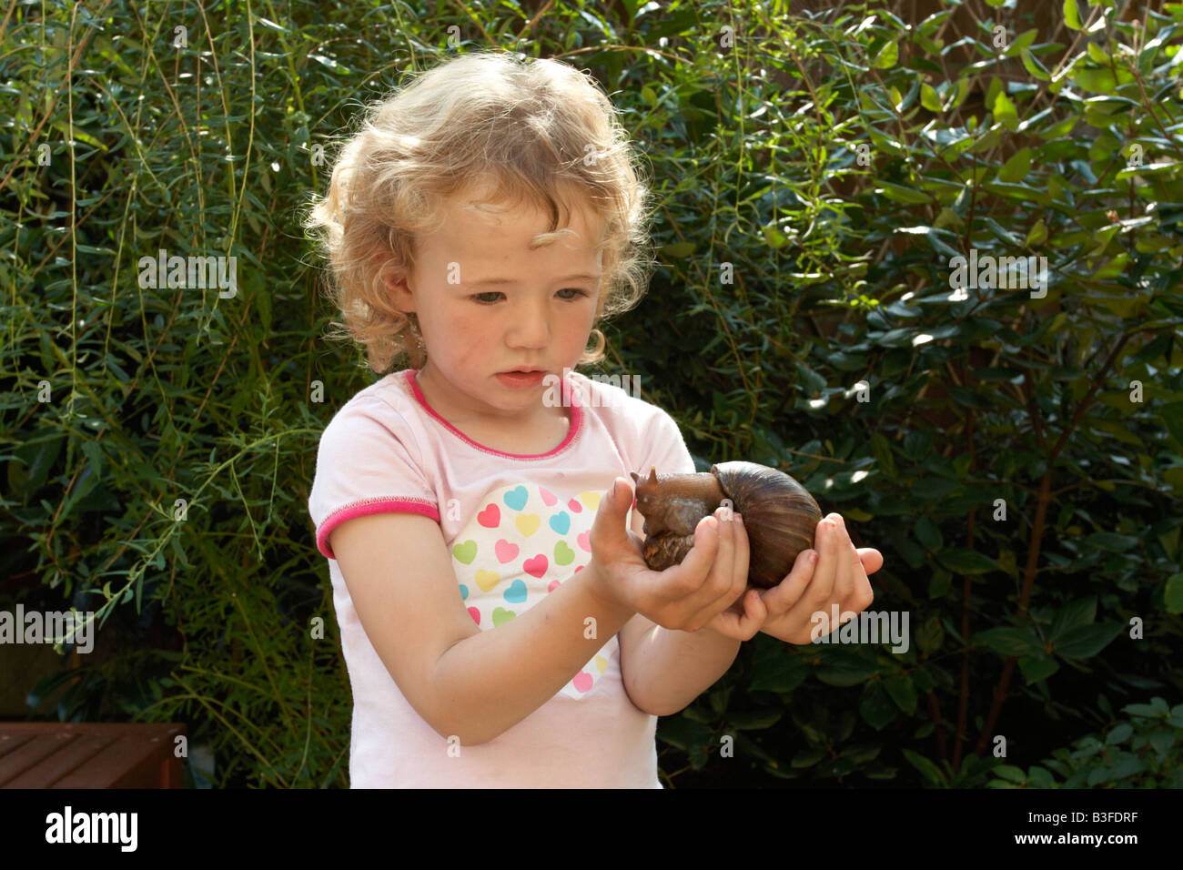Girl holding african land snail Banque D'Images