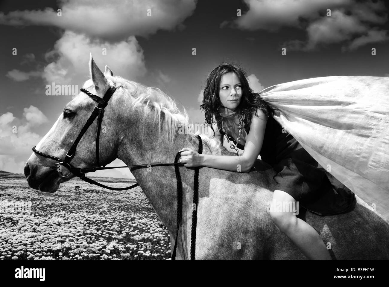 Photo de l'assise sur le modèle running horse Banque D'Images