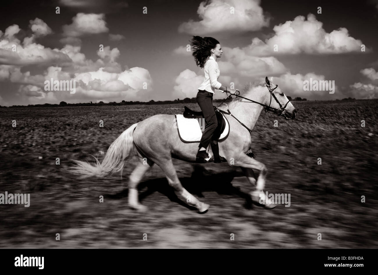 Femme et cheval rapidement Banque D'Images