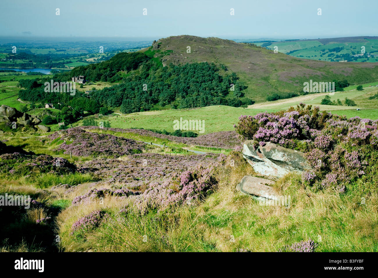 Cloud poule vu de Ramshaw Rocks dans le parc national de Peak District Staffordshire Banque D'Images