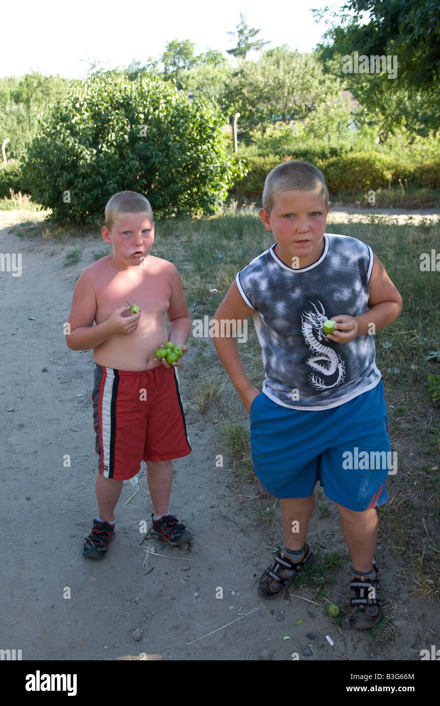 Les jeunes garçons avec des pommes de crabe sauvage Zielona Gora Pologne Banque D'Images