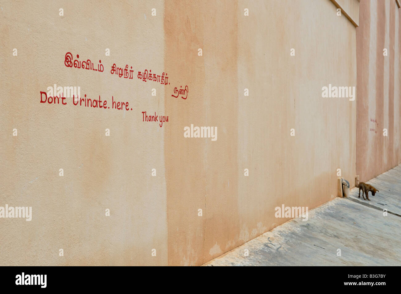 L'Inde, Tamil Nadu, Inde. Inscription manuscrite sur le mur n'uriner ici Banque D'Images