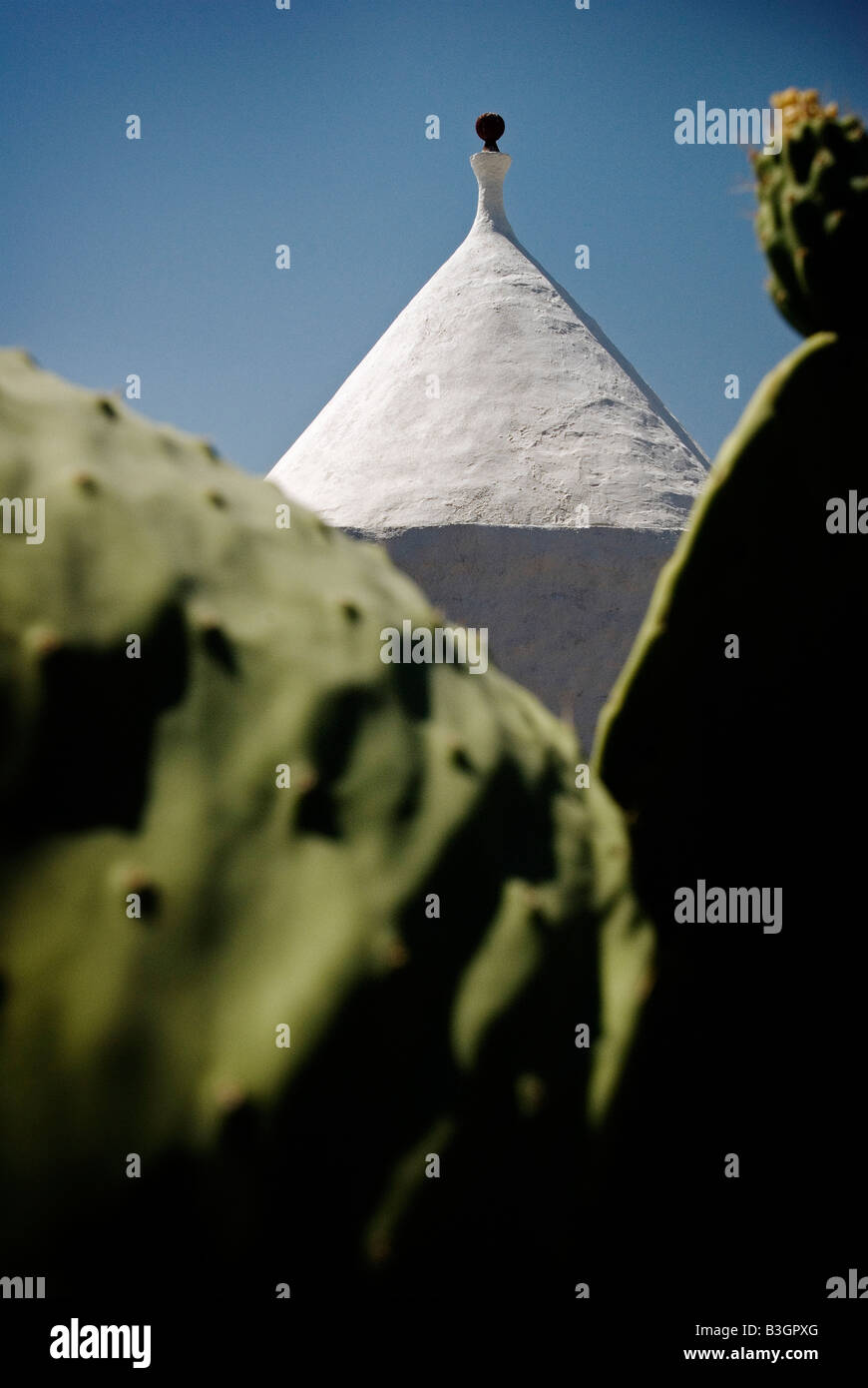 L'Italie, Pouilles. L'année 2008. Trullo vu de derrière une plante Banque D'Images