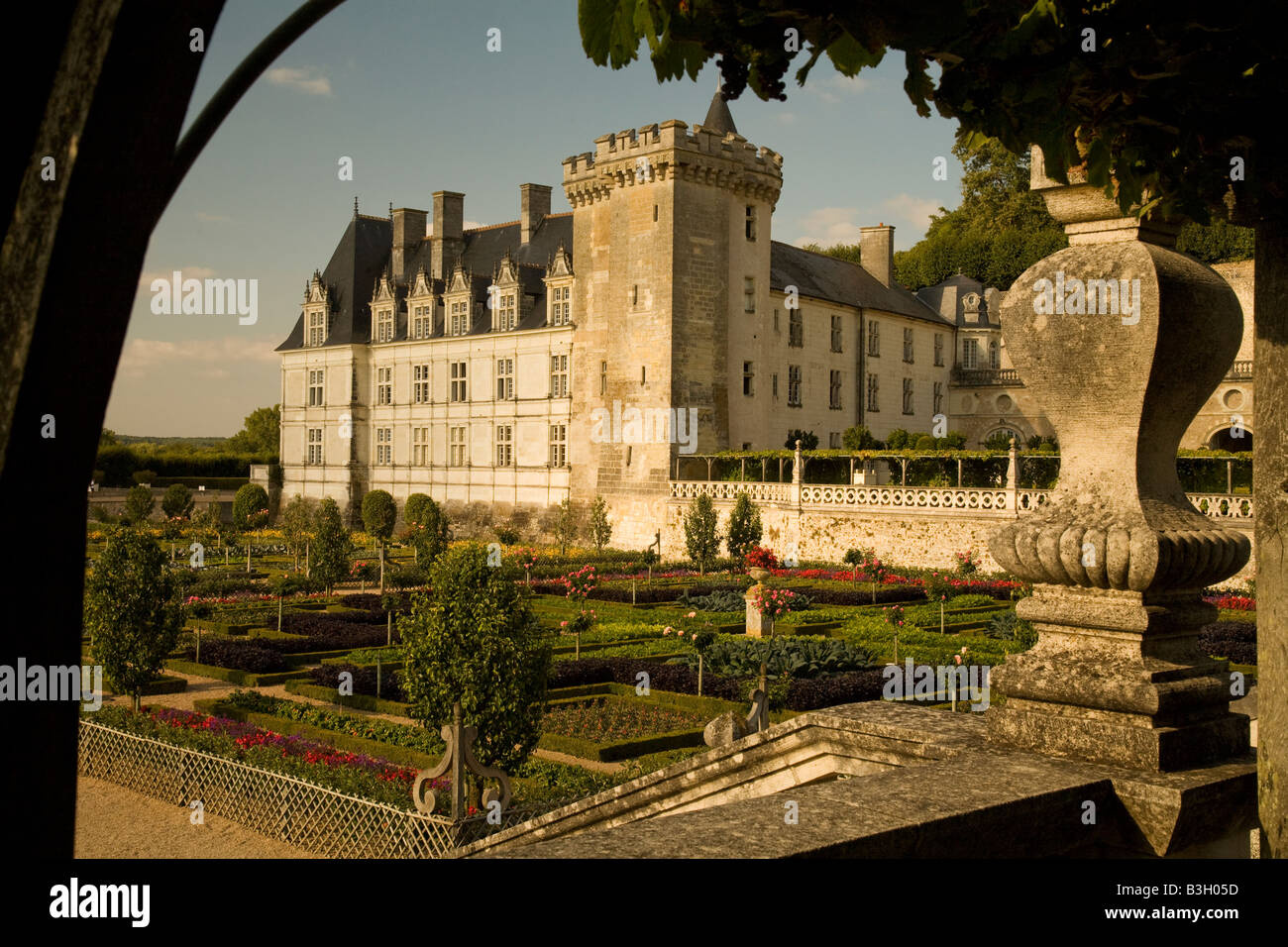 La fin de l'après-midi soleil tombe sur la face ouest de Chateau Villandry et inférieure, potager (légumes) Jardins, vallée de la Loire, France Banque D'Images