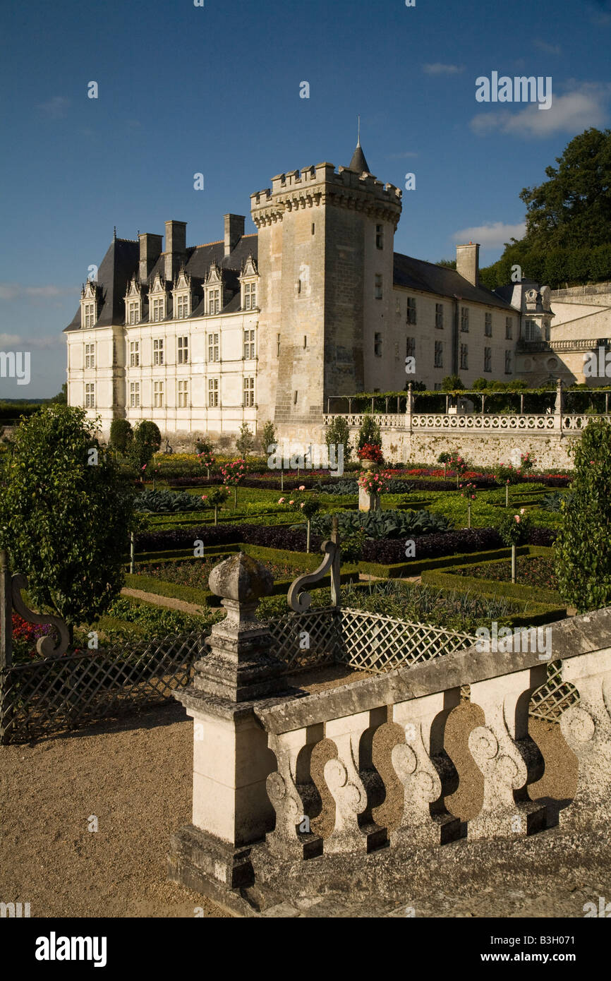 Face Ouest de Chateau Villandry, vallée de la Loire, France dans l'après-midi du soleil depuis le bas, le jardin potager (légumes). Banque D'Images