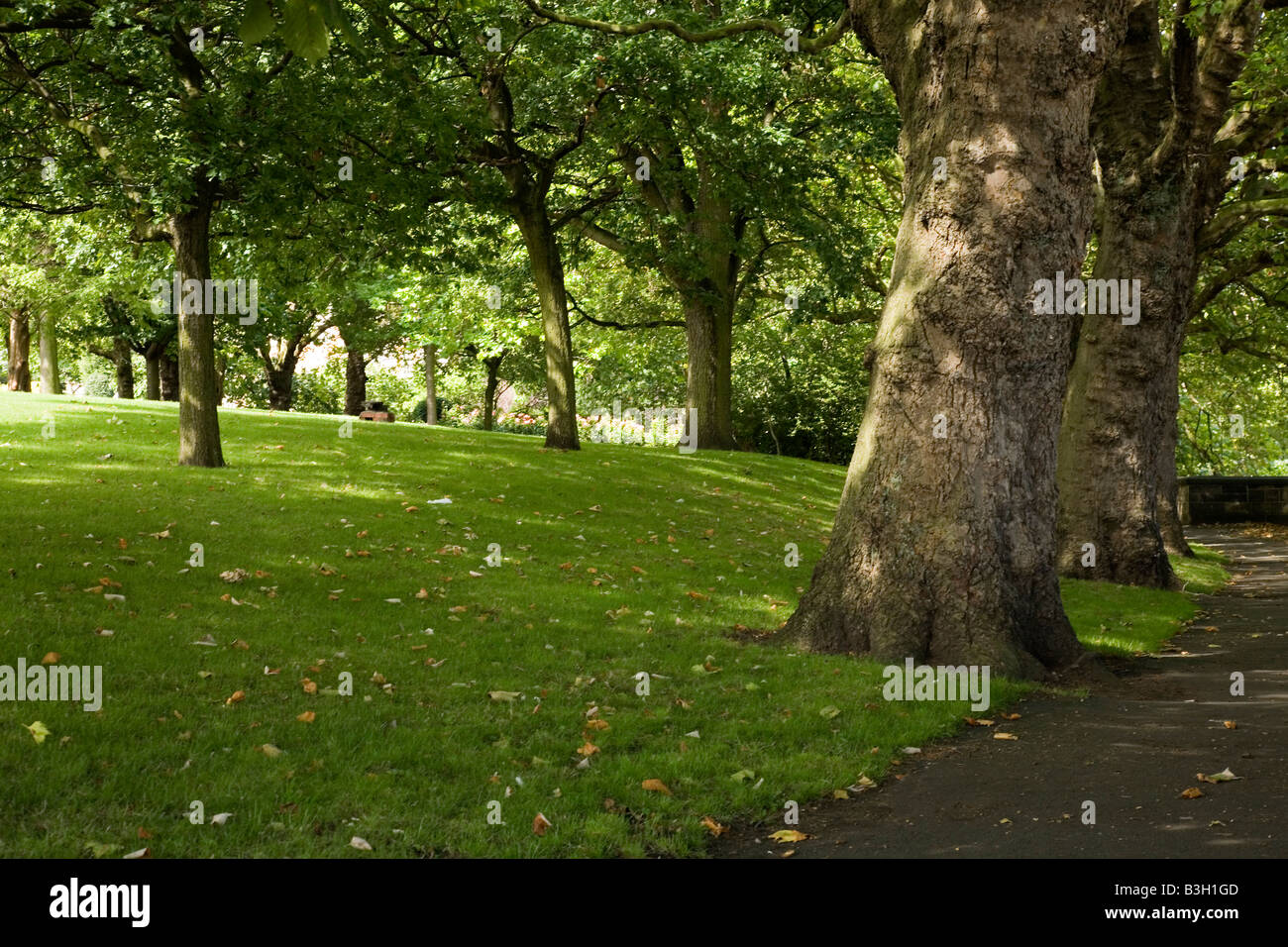 Vue à travers les arbres dans les jardins du château de Nottingham Banque D'Images
