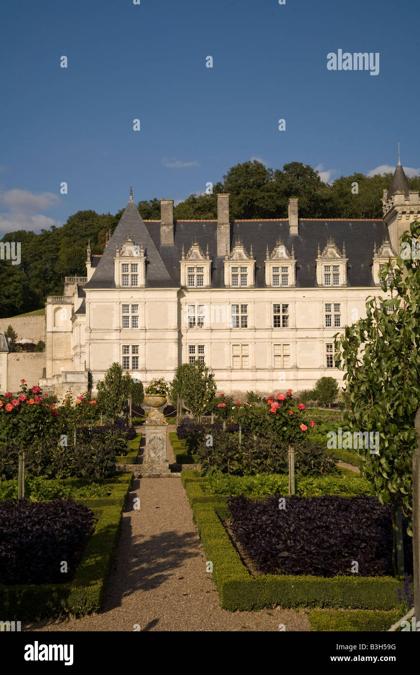 Face Ouest de Chateau Villandry, vallée de la Loire, France dans l'après-midi du soleil depuis le bas, le jardin potager (légumes). Banque D'Images