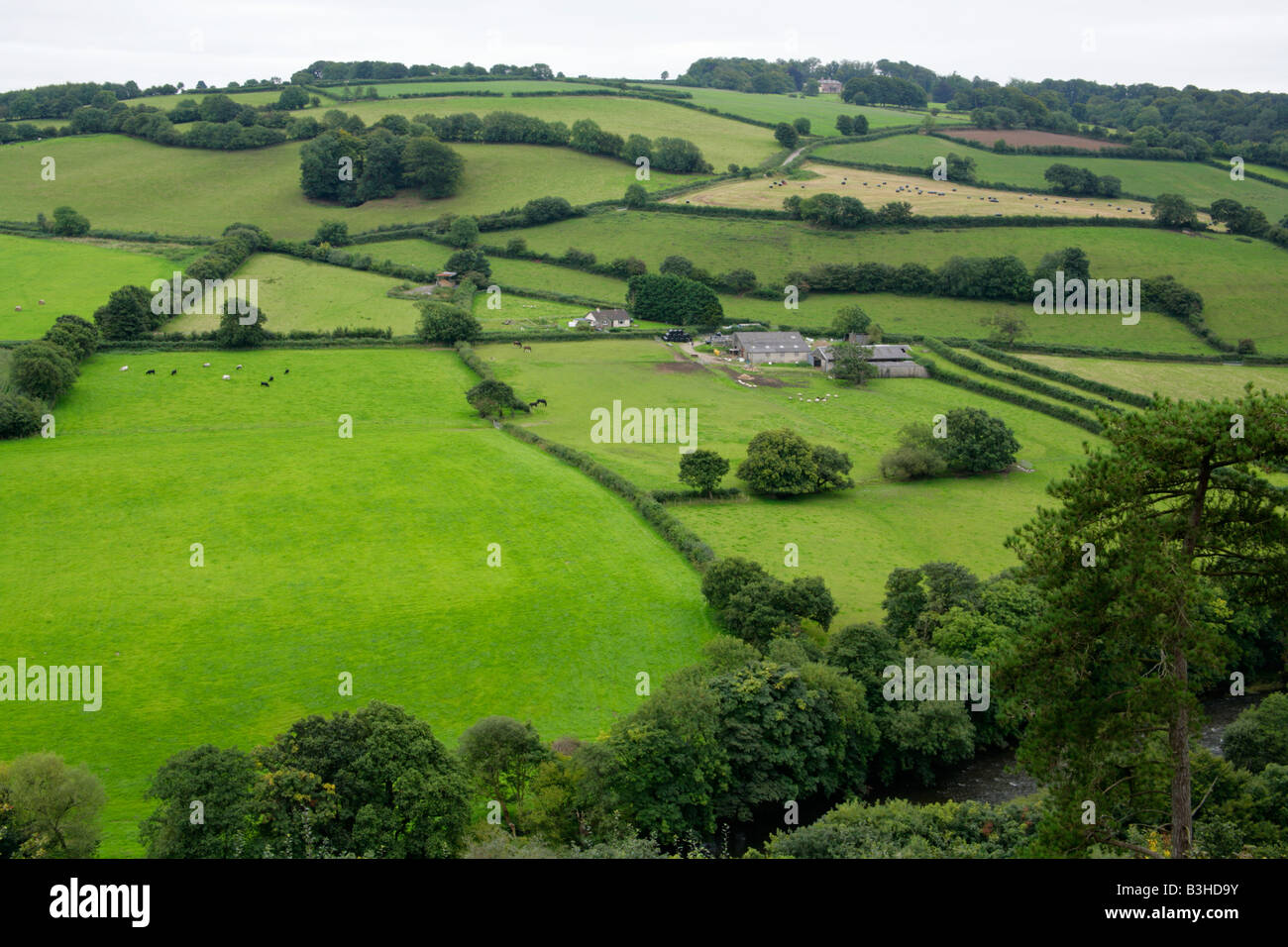 Vue de Great Torrington dans toute la vallée de Torridge et rivière Torridge avec petit champ et historique culture en bandes de la mise en page. Banque D'Images