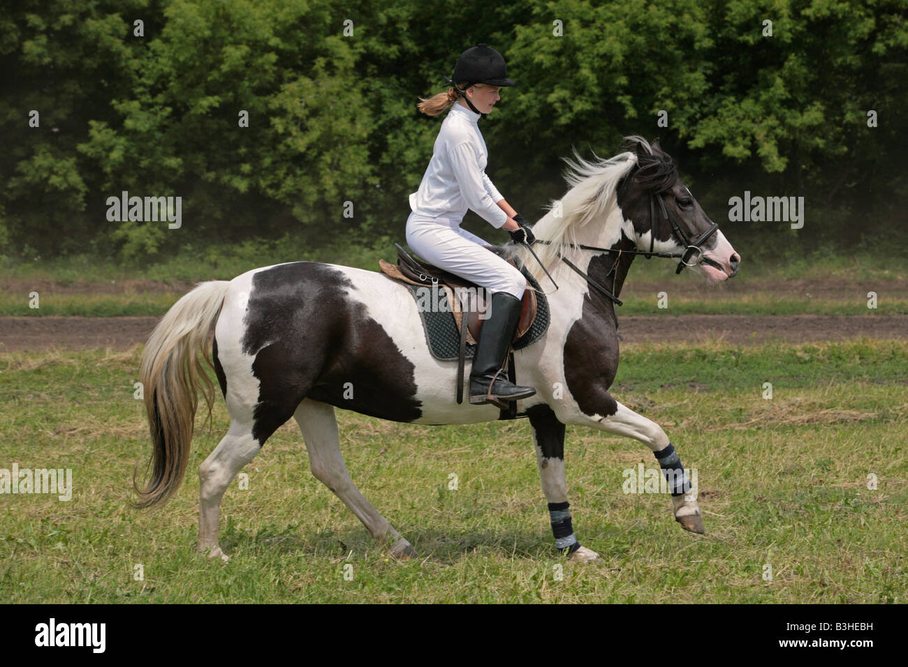 Girl tour sur le poney bay Banque D'Images