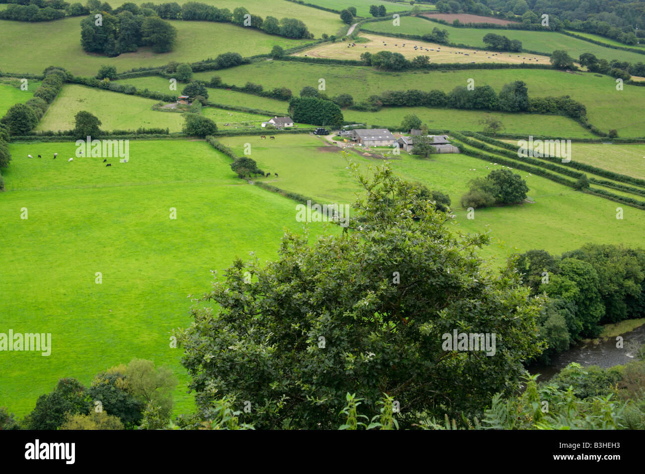 Vue de Great Torrington dans toute la vallée de Torridge et rivière Torridge avec petit champ et historique culture en bandes de la mise en page. Banque D'Images