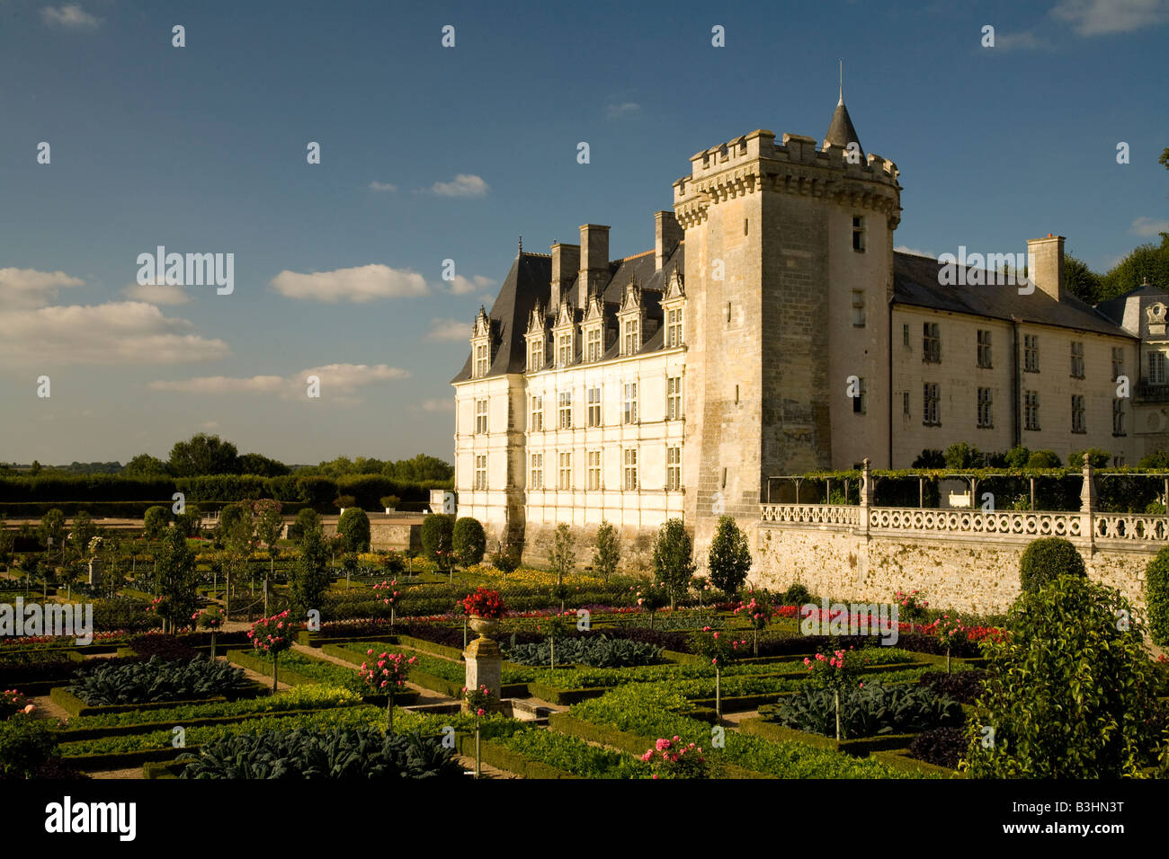 La fin de l'après-midi soleil tombe sur la face ouest de Chateau Villandry et inférieure, potager (légumes) Jardins, vallée de la Loire, France Banque D'Images