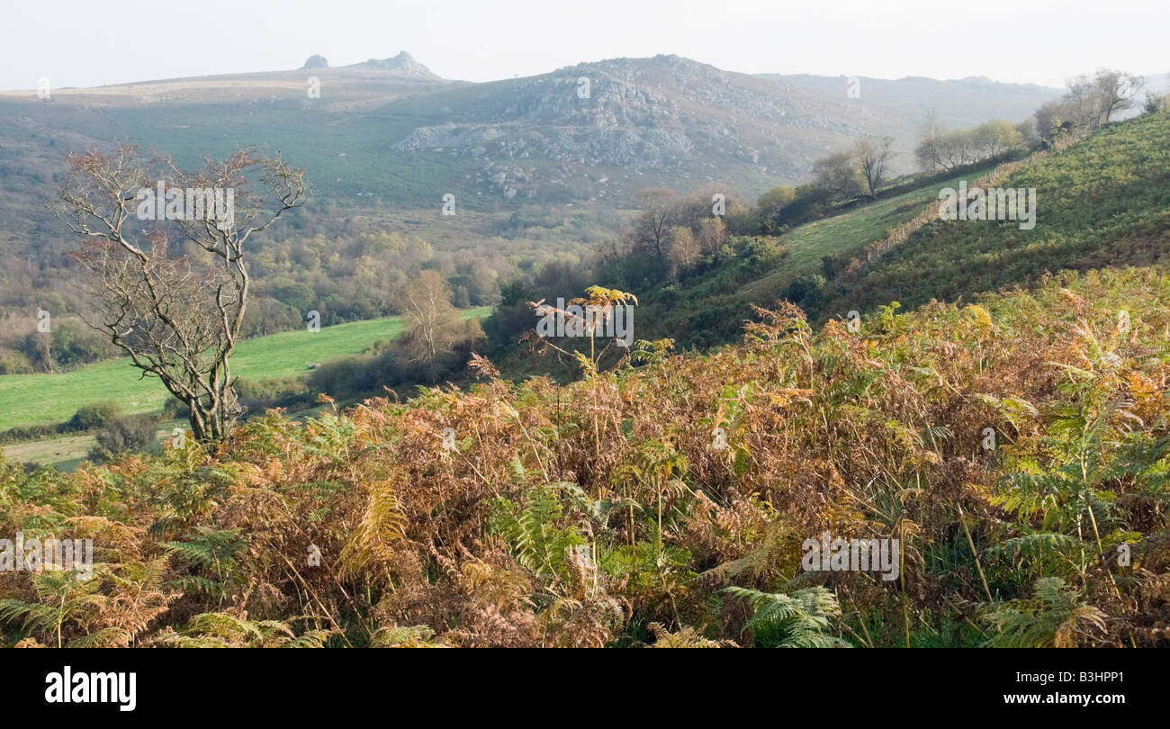 Les roches Haytor de Holwell bas sur le Dartmoor Banque D'Images