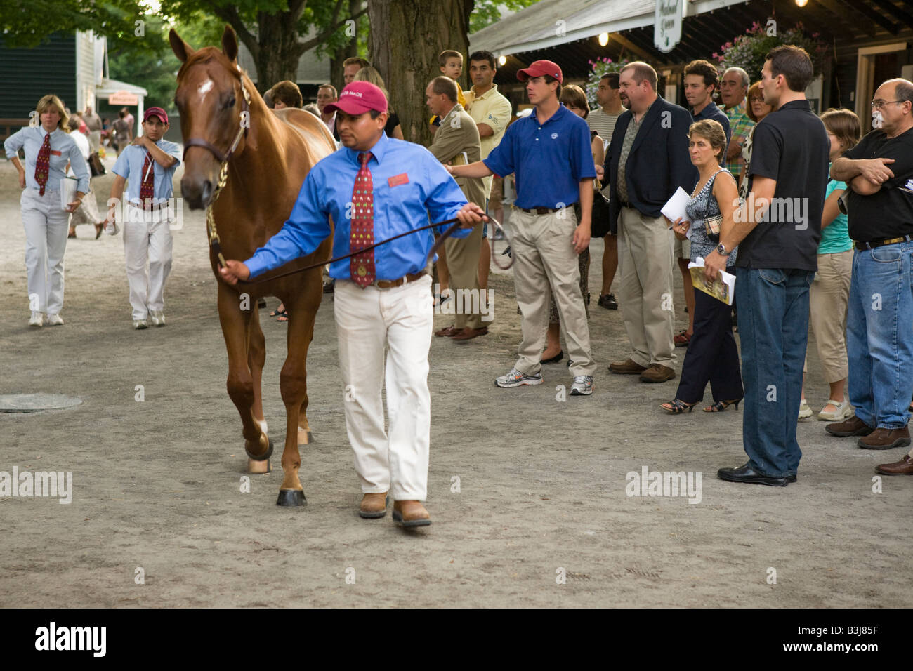 Fasig Tipton cheval pur-sang annuelle auction Saratoga Springs New York Banque D'Images